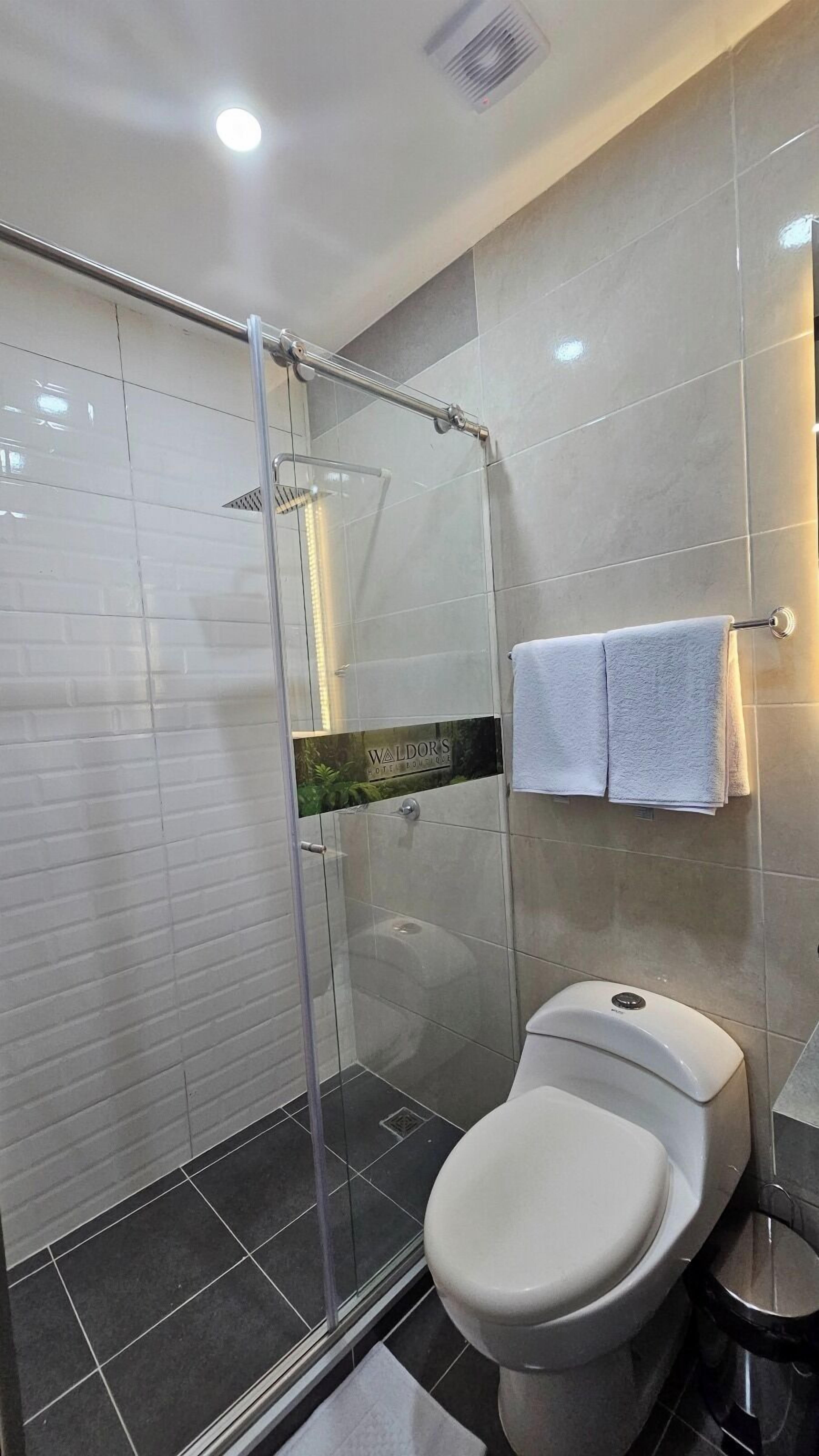 A modern bathroom with a glass-enclosed shower, a toilet, and a towel rack.