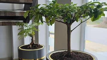 內部細節