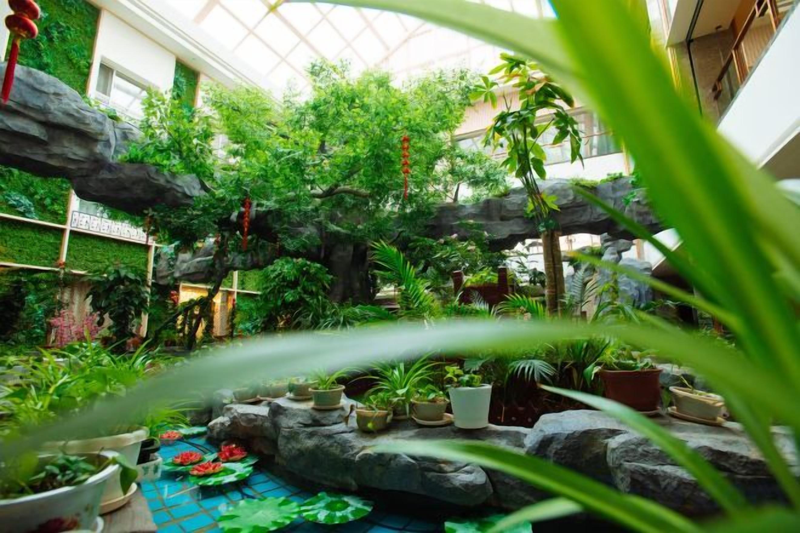 An indoor garden with potted plants, rocks, and a waterfall feature.