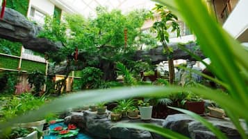 An indoor garden with potted plants, rocks, and a waterfall feature.