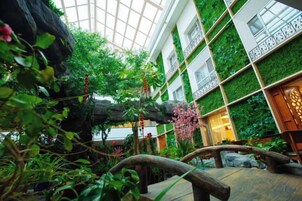 Un atrio interior con techo de vidrio, paredes verdes y un banco de madera.