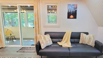 Smart TV, fireplace, video games, books