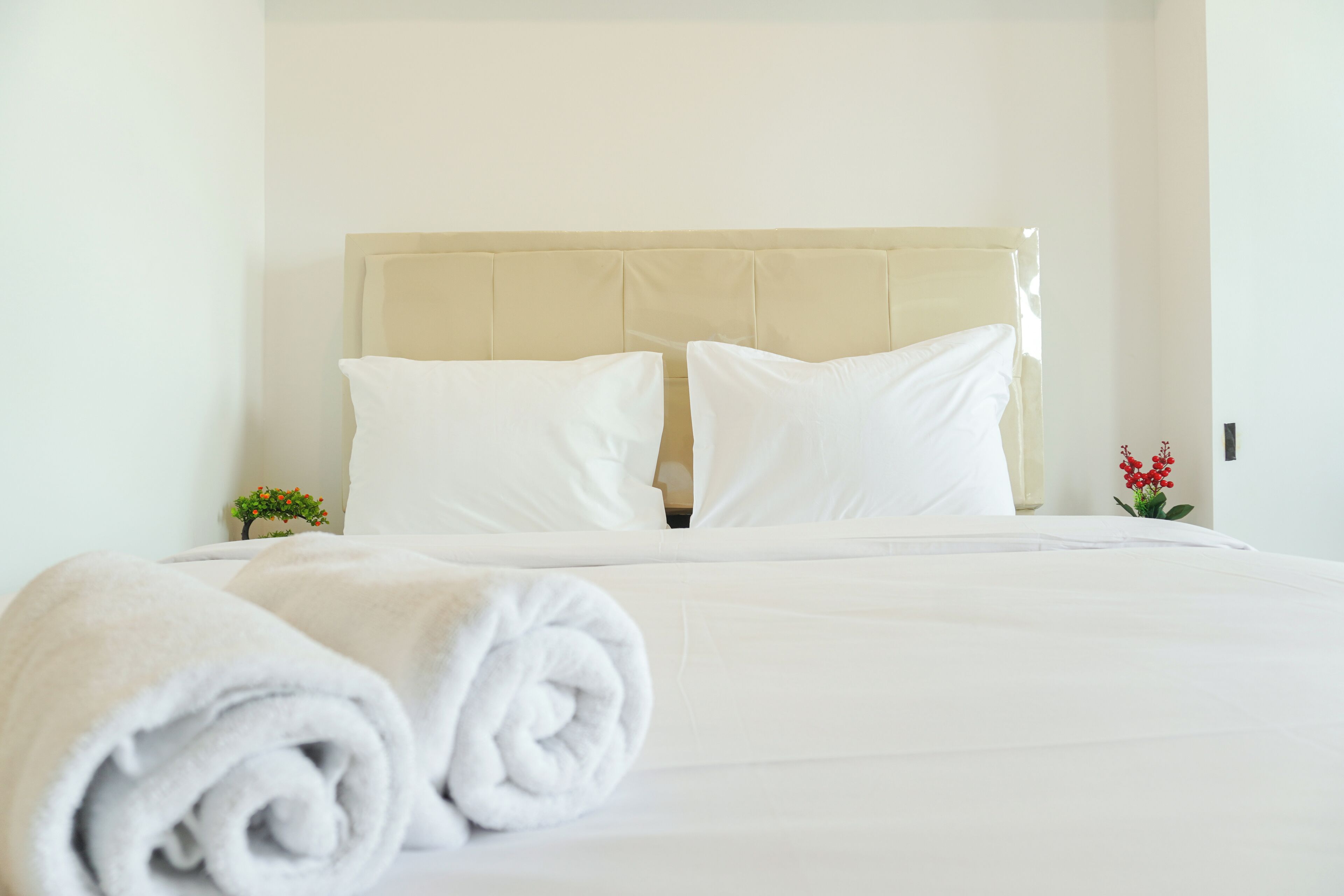 A neatly made bed with white linens and pillows, a beige headboard, and a small plant on the nightstand.