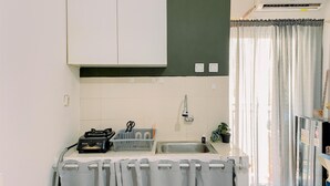 A compact kitchen with a sink, a dish rack, and a small potted plant.
