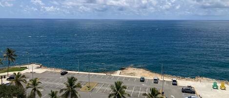 Vista desde la propiedad