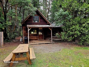A rustic cabin with a porch, a picnic table, and a small outdoor grill. - Out 'N' About Treehouse Treesort (Cave Junction)