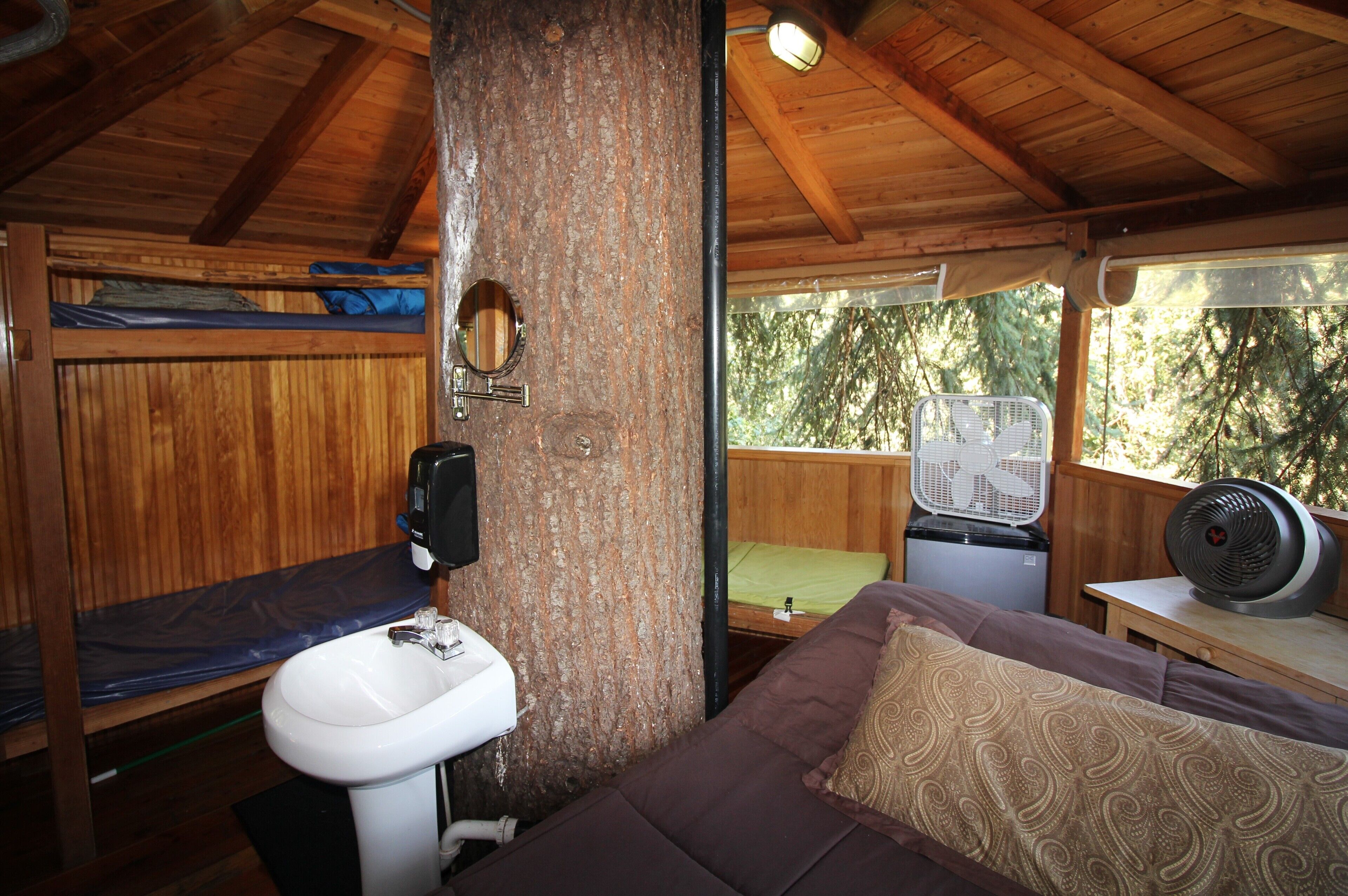 A wooden cabin interior with bunk beds, a sink, a fan, and a window overlooking trees.