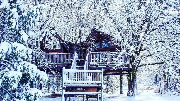 A wooden cabin with a balcony, surrounded by snow-covered trees. - Out 'N' About Treehouse Treesort (Cave Junction)