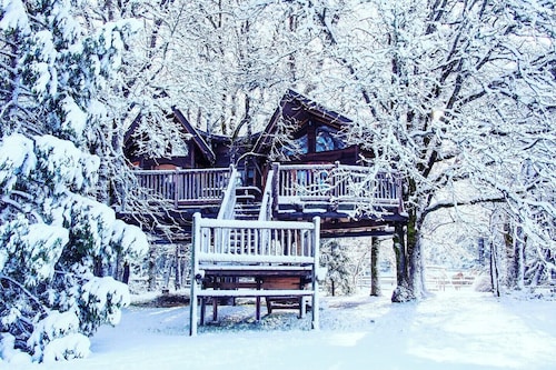 Out 'N' About Treehouse Treesort