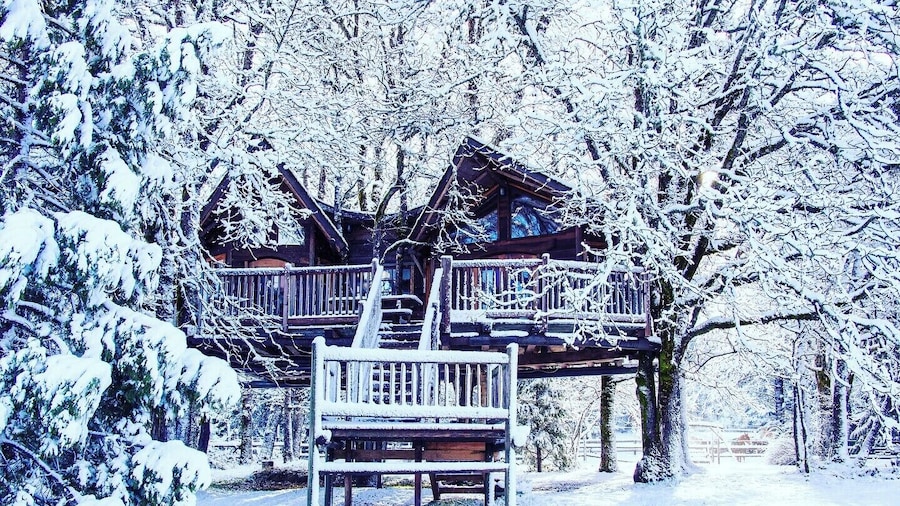 Out 'N' About Treehouse Treesort