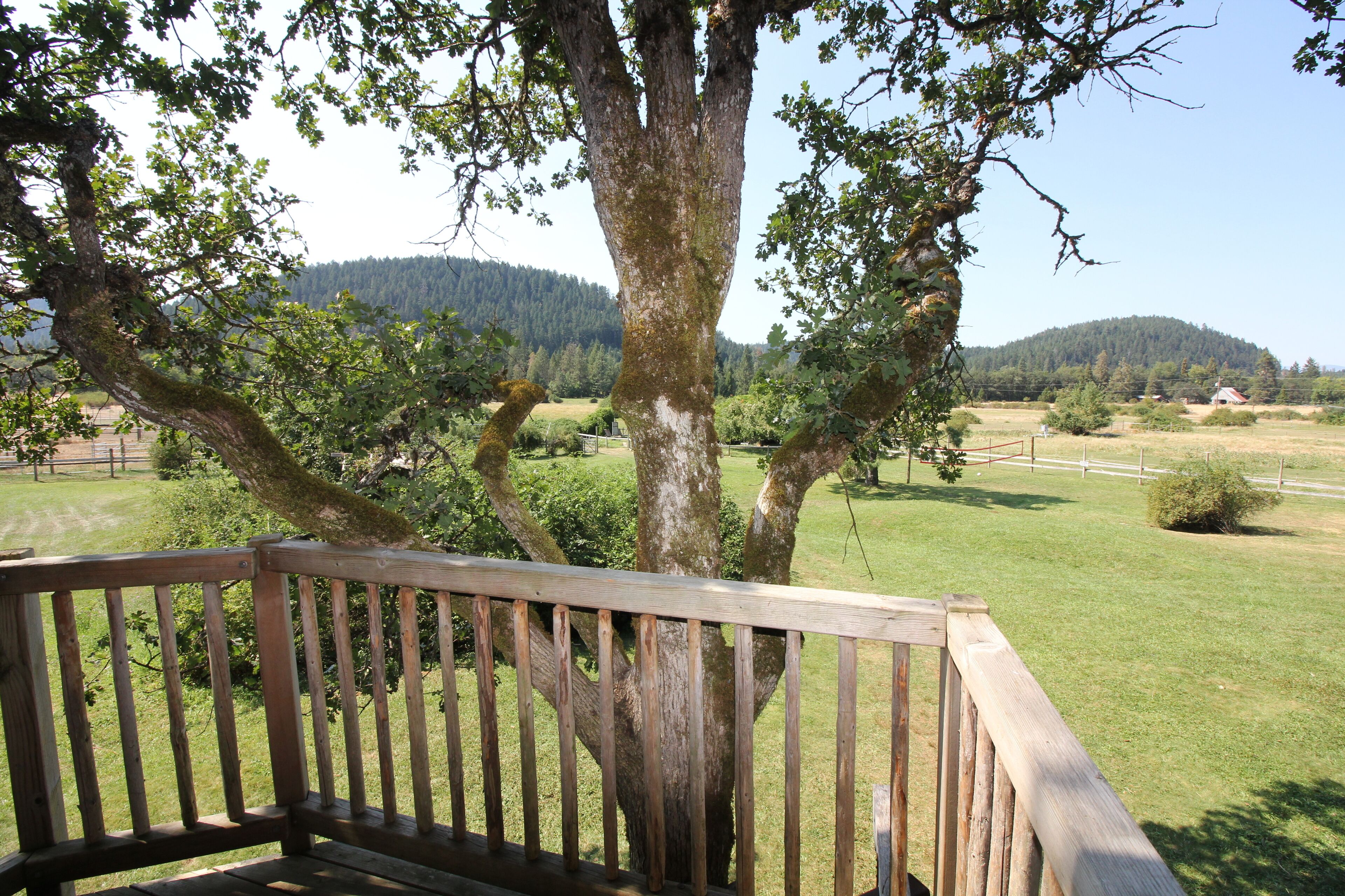 Casa na árvore | Terraço/pátio