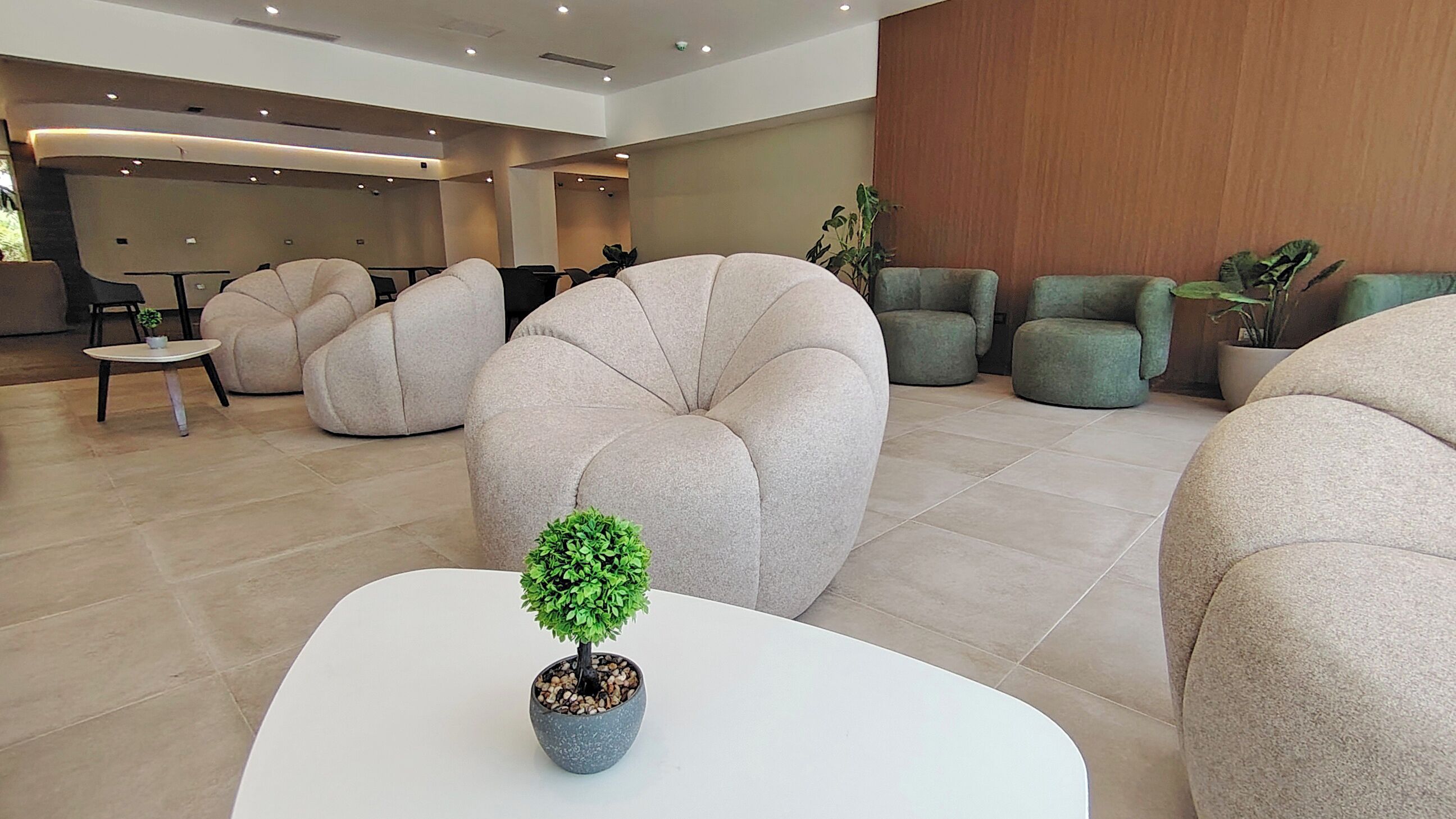 Un hall d’entrée moderne avec des sièges ronds, une petite table ornée d’une plante en pot et, au fond, un espace d’accueil.