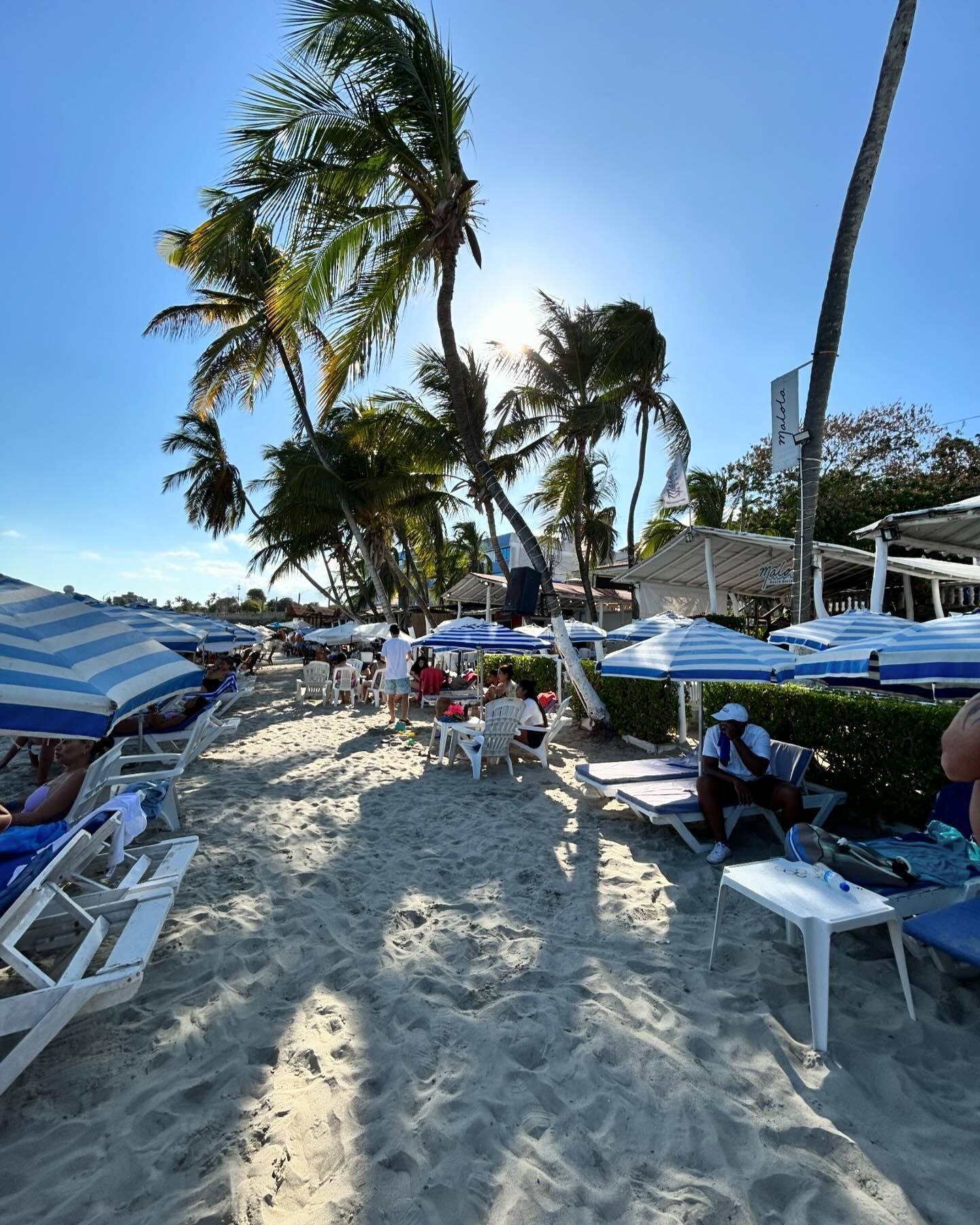 Foto - Hotel Margarita Dynasty