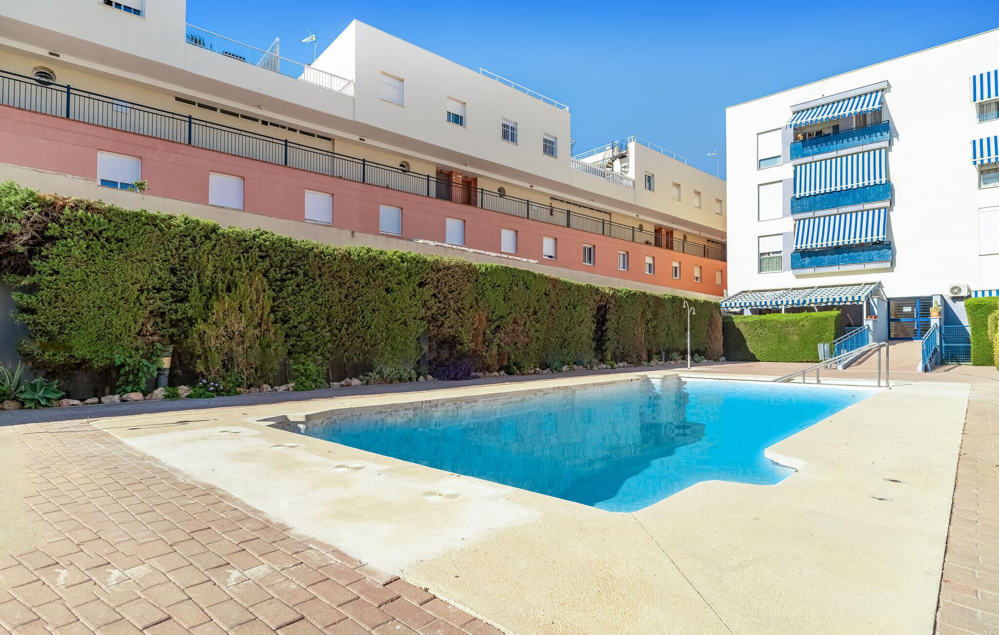 A swimming pool with a brick border, surrounded by a hedge and buildings in the background.