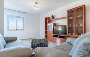 Televisor 