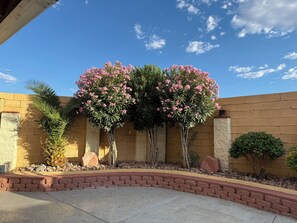 Jardines del alojamiento