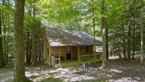 A wooden cabin with a porch, surrounded by tall trees in a forest.