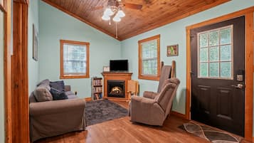 TV, fireplace, DVD player, books