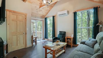 TV, fireplace, DVD player, books