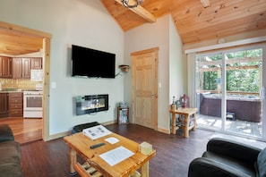 TV, fireplace, DVD player, books