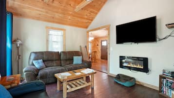TV, fireplace, DVD player, books