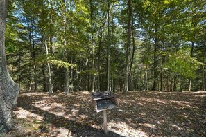 A forested area with a metal grill table on a wooden post.