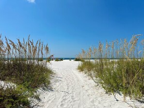 Beach nearby - White Whale boasts gulf views from 3 levels, private pool & steps to the beach, pet friendly! (Port Saint Joe)