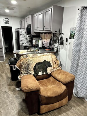 Interior - Mountain Dreams, up to date camper with WiFi & fireplace (Cosby)