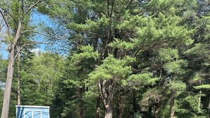 A grassy area with a fire pit and a blue structure. - Private & Cozy! Close to the Clarion River & State Parks!- Camp Harv est.1994 (Clarington)