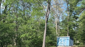 A grassy area with a fire pit, a picnic table, and a small blue shed. - Private & Cozy! Close to the Clarion River & State Parks!- Camp Harv est.1994 (Clarington)
