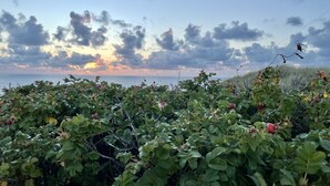 Kustlandschap met weelderige begroeiing en uitzicht op zee bij zonsondergang.