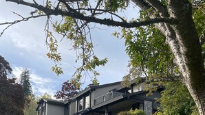 Een modern huis met twee verdiepingen en een overdekt terras, omgeven door keurig onderhouden gazons en verschillende struiken.