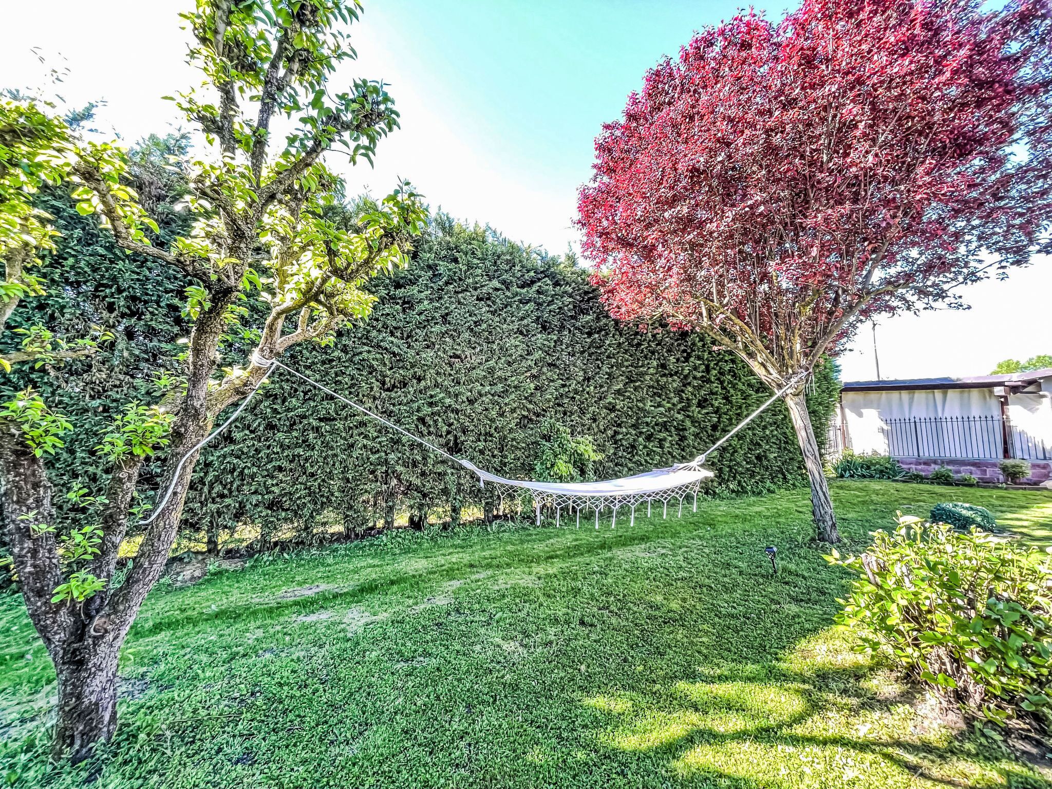 A hammock between trees in a well-maintained garden with a hedge and a building in the background.