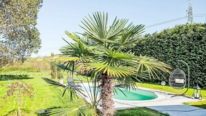 Un jardín cuidado con una palmera, piscina y una silla colgante.