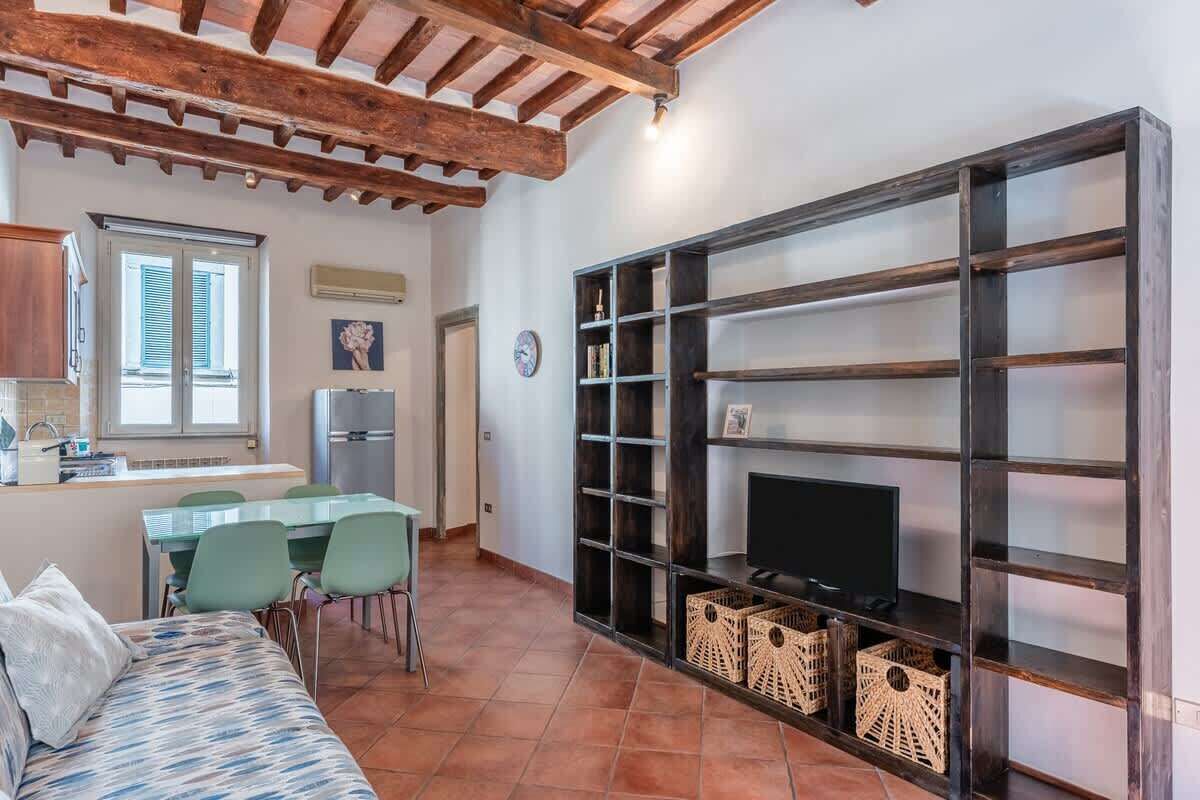 Fernseher, Arbeitsbereiche