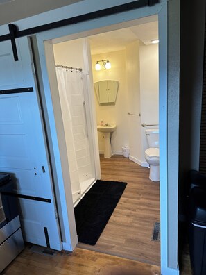 Shower, towels, toilet paper