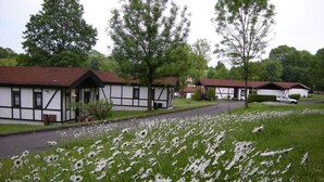 A traditional building with a sloped roof, surrounded by a grassy field with white flowers. - Apartment 'Bungalow 47 Upper Floor' with Balcony and Free Wi-Fi (Dipperz)