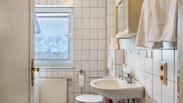 Shower, hair dryer