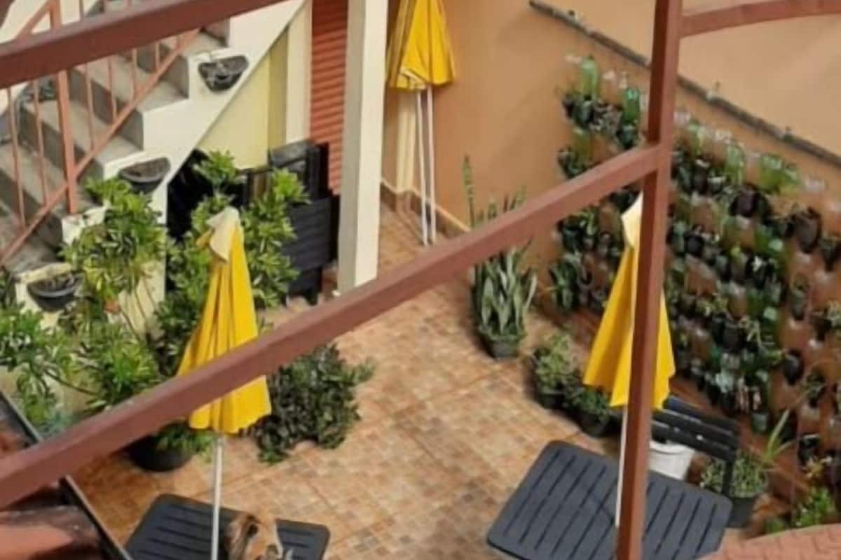 A rooftop terrace with a staircase, potted plants, and a view of distant mountains.