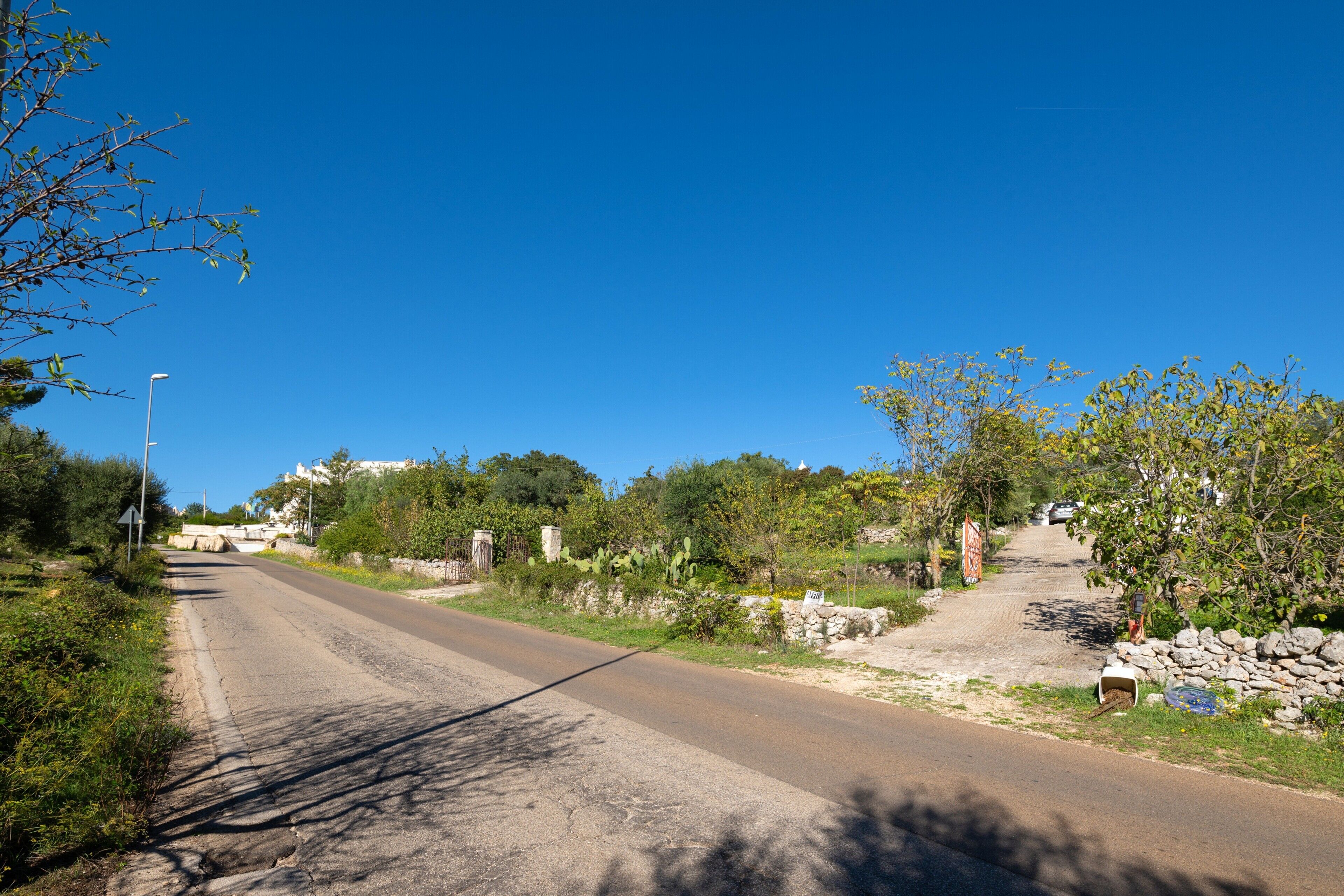 Eine ländliche Straße mit einer Steinmauer, Bäumen und wolkenlosem, blauem Himmel.
