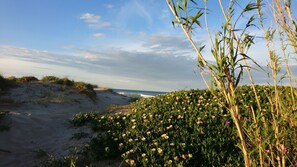Beach nearby - Apartment 'Ca Llaurí' with Sea View, Wi-Fi and Air Conditioning (Daimús)