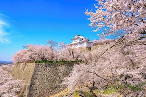 Un edificio japonés tradicional con muro de piedra y flores de cerezo.