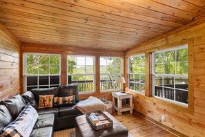 TV, fireplace - Cabin with hot tub & stunning lake and mountain views throughout (Ellijay)