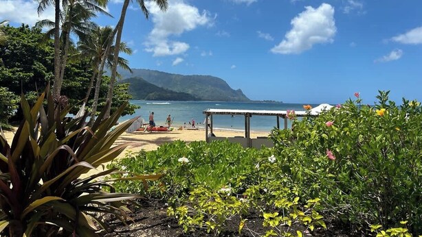 Ein Strand mit Palmen, einer Bank und Blick auf den Ozean.