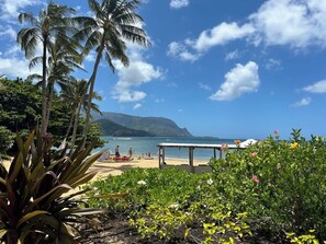 A beach with palm trees, a bench, and a view of the ocean.