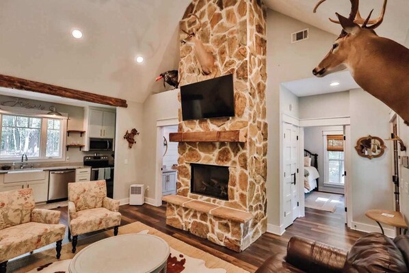 TV, fireplace