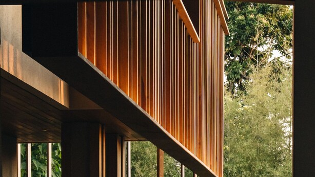 A modern interior with a long corridor, a wooden balcony, and a large green plant.