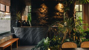 A modern lobby with a stone wall, a large indoor plant, and a seating area with a bench and chairs.