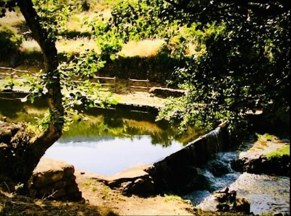 A natural landscape with a pond, surrounded by greenery and a wooden fence.