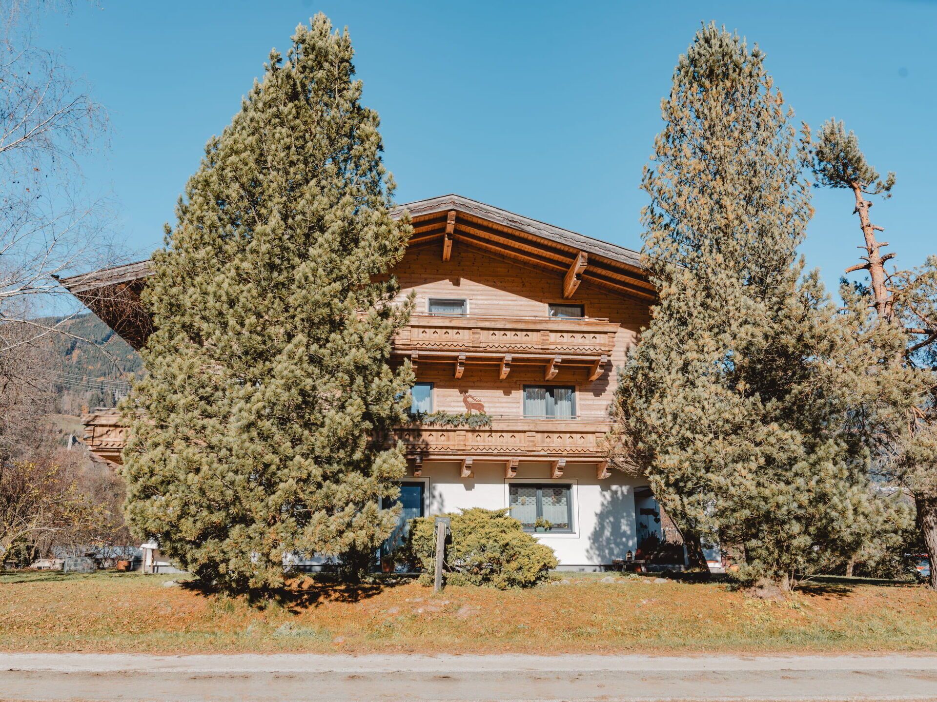 Un immeuble en bois à plusieurs étages, doté de balcons et entouré de grands pins.